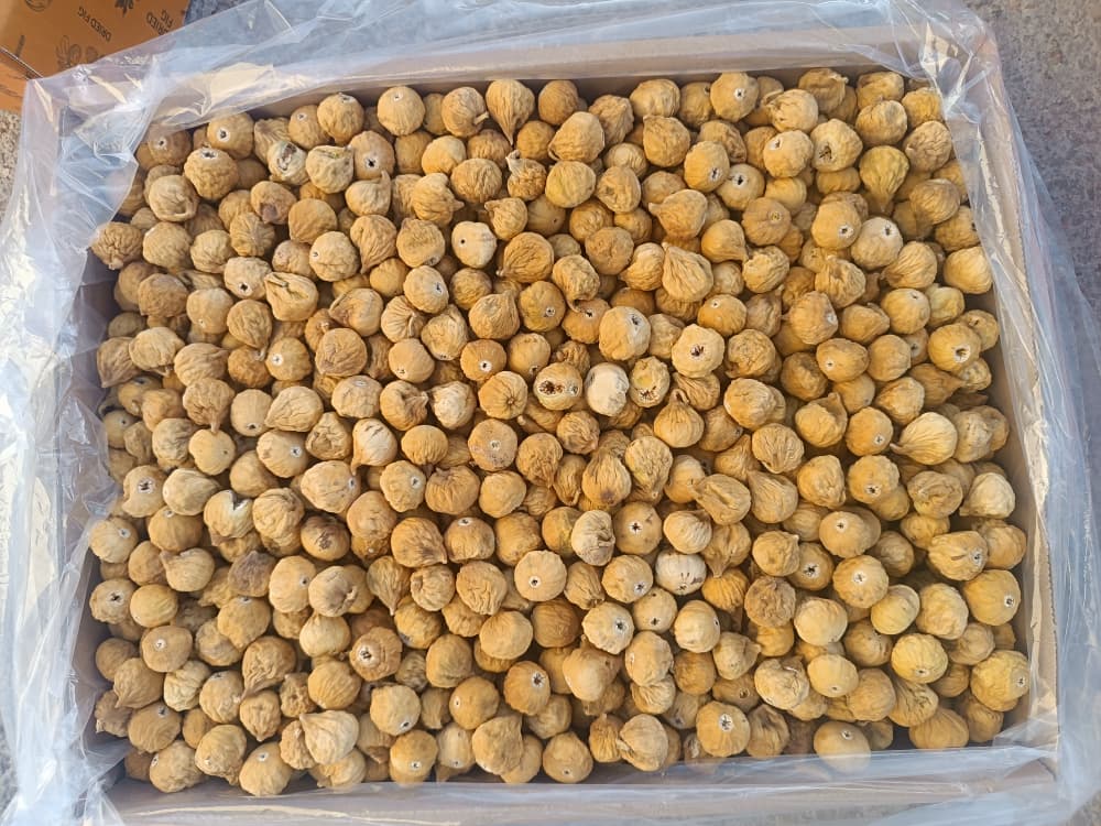 خرید به صرفه انجیر دو رنگ ریز (A) + ارسال رایگان